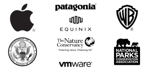 WildCollective Clients
